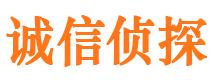 坡头捉小三公司